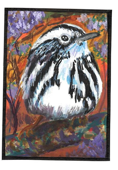 Zebra Warbler (Bird Series)