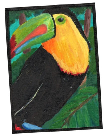Toucan (Bird Series)