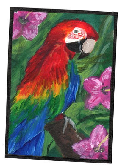 Macaw Parrot (Bird Series)
