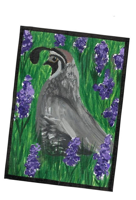 Quail (Bird Series)