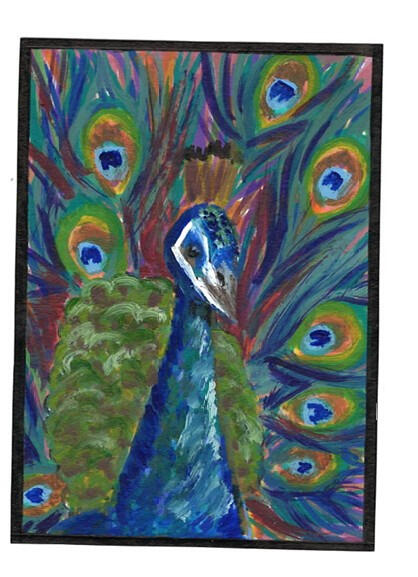 Peacock (Bird Series)