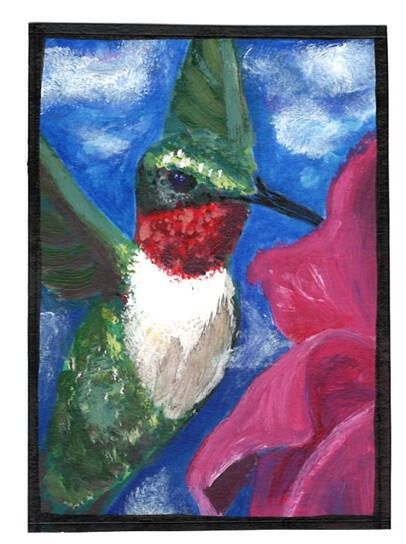 Hummingbird (Bird Series)
