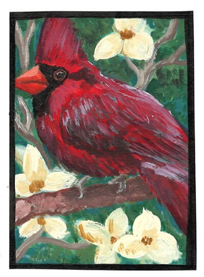 Cardinal (Bird Series)