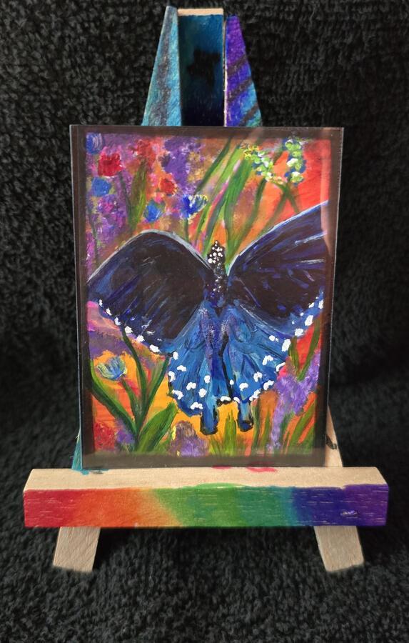 Butterfly and Dragonfly Custom Series