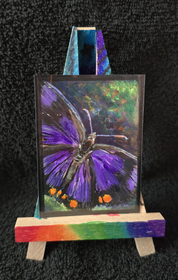 Butterfly and Dragonfly Custom Series
